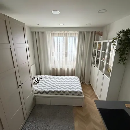 Miedziane Zalesie - *