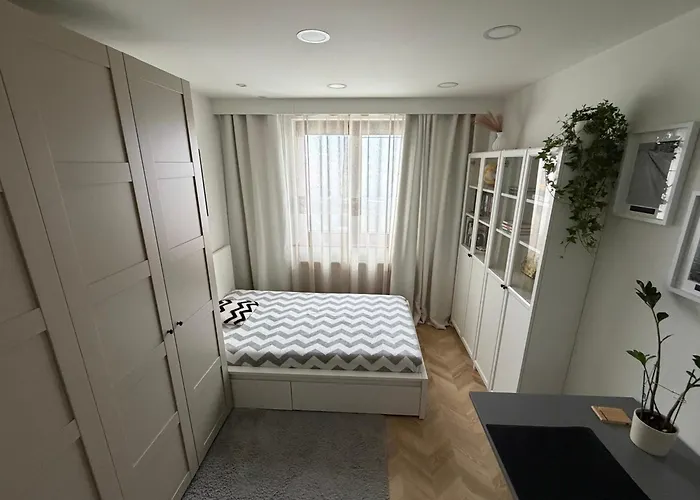 Miedziane Zalesie - *